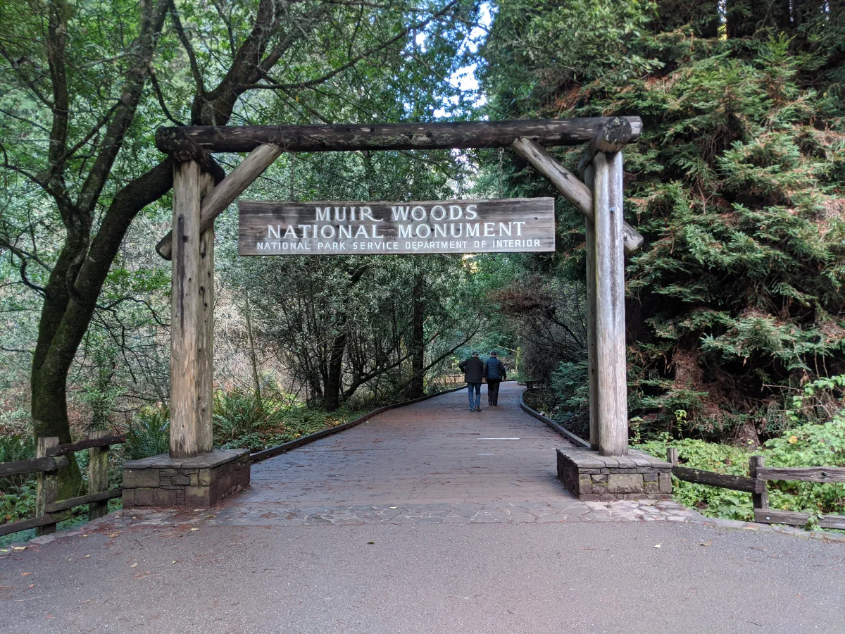 MUIR WOODS